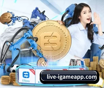 AYX体育APP APP