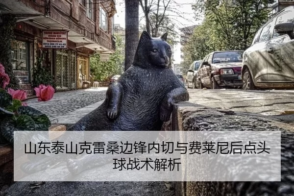 shan-dong-tai-shan-ke-lei-sang-bian-feng-nei-qie-yu-fei-lai-ni-hou-dian-tou-qiu-zhan-shu-jie-xi-2-225.jpg