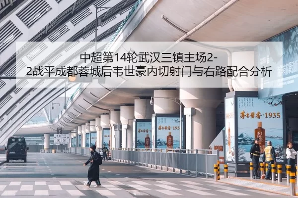 中超第14轮武汉三镇主场2-2战平成都蓉城后韦世豪内切射门与右路配合分析