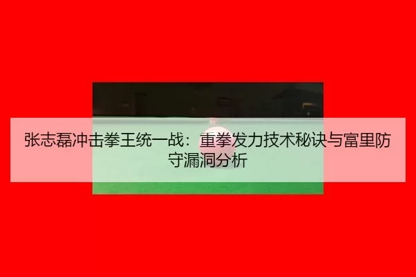 zhang-zhi-lei-chong-ji-quan-wang-tong-yi-zhan-zhong-quan-fa-li-ji-shu-mi-jue-yu-fu-li-fang-shou-lou-dong-fen-xi-2-180.jpg